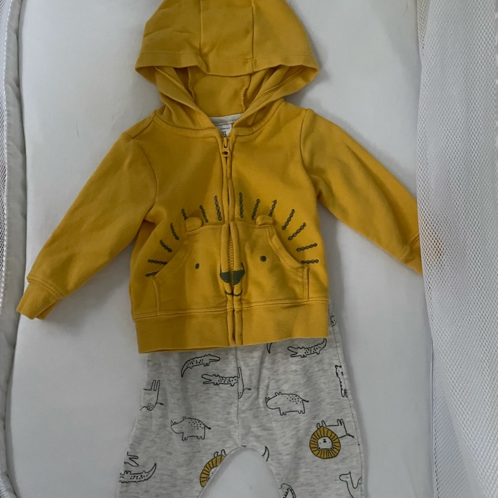 Carter’s lion outfit